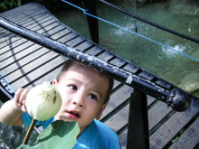 Ryan June 2005